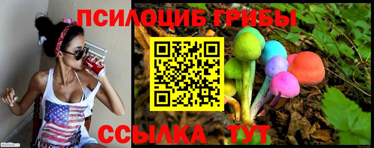 Галлюциногенные грибы Magic Shrooms Коломна