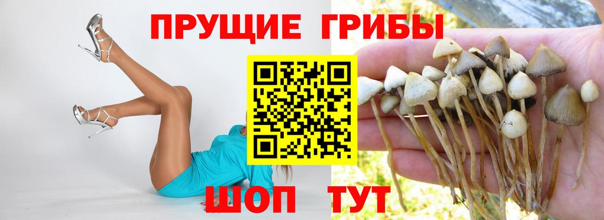 Коломна  Галлюциногенные грибы мицелий  Вход с VPN 